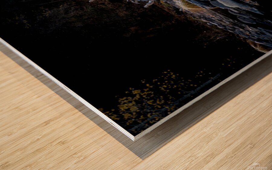 IMG 7561 4 Wood print