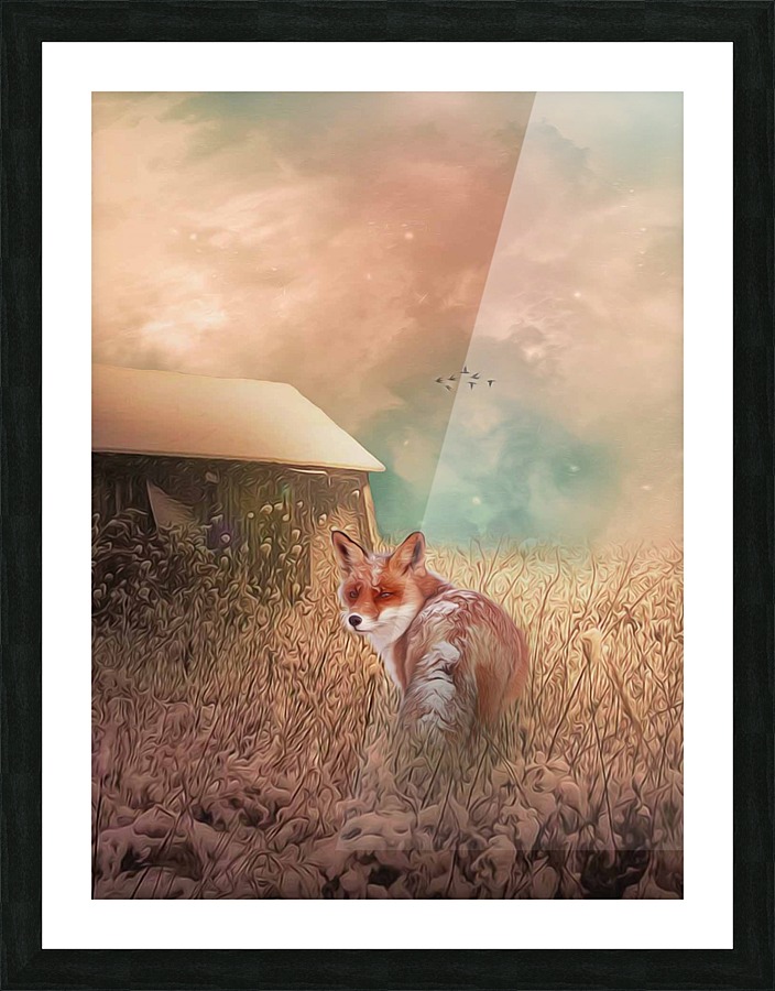 Fox look Picture Frame print