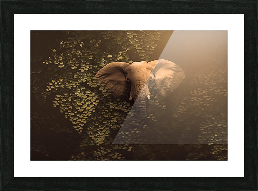 Deep in the bush Picture Frame print