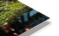  medetaion HD Metal print