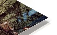 return to your soul  HD Metal print
