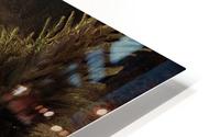 I see you HD Metal print