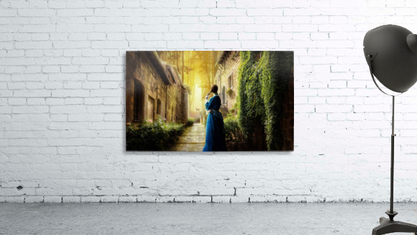  medetaion Wall Preview