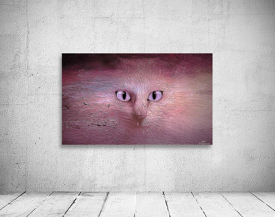 my cat   Copy Wall Preview
