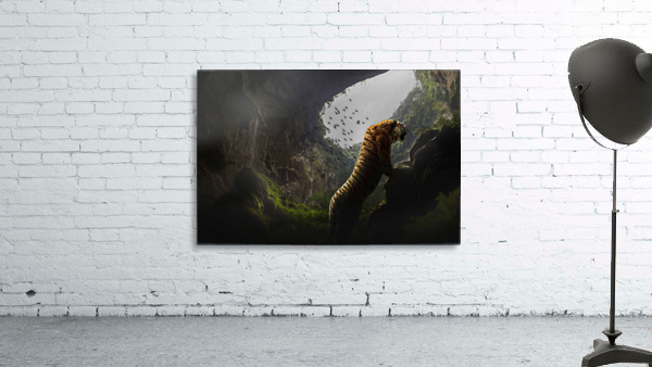 KING  Wall Preview