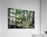 Bayou Acrylic Print