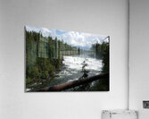 DSC 0632 Acrylic Print
