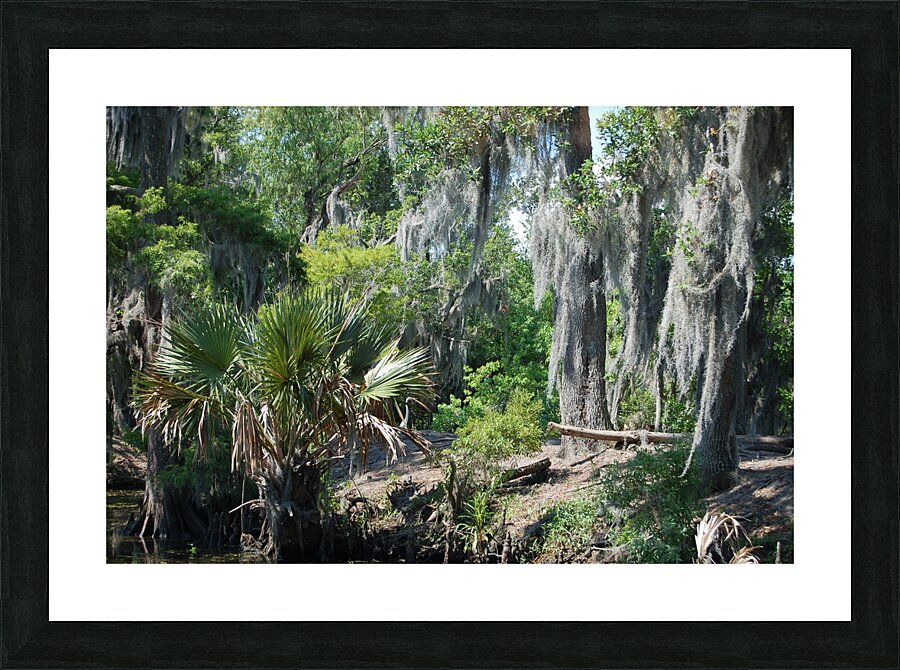 Bayou Picture Frame print