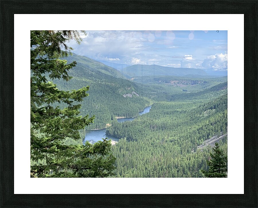IMG 3208 Picture Frame print