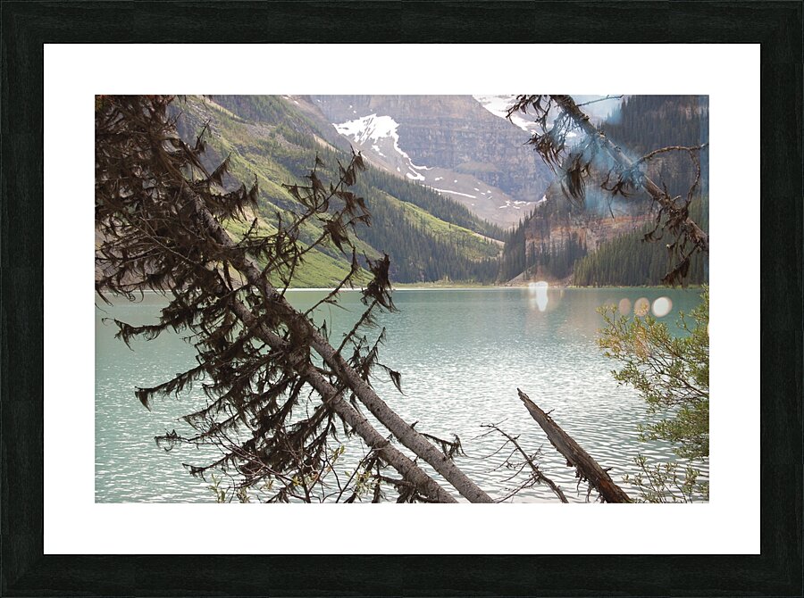 Alberta Picture Frame print