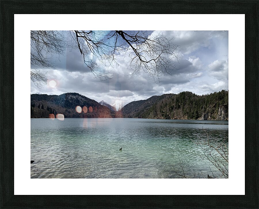 2023 04 15 13 59 44 069 Picture Frame print