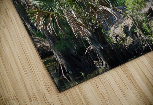 Bayou Bobby Jack puzzle