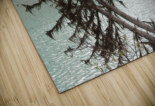 Alberta Bobby Jack puzzle