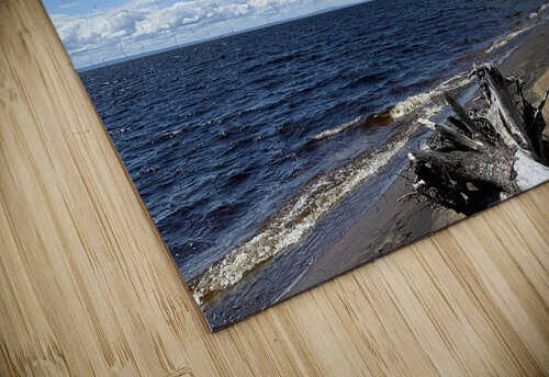 beach Bobby Jack puzzle