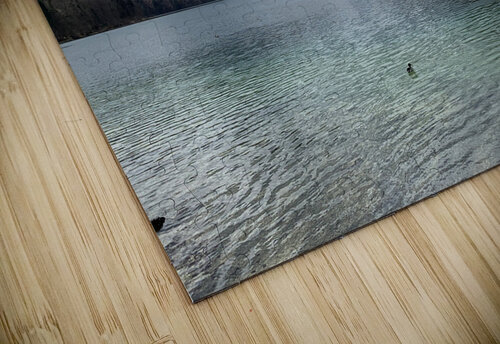 2023 04 15 13 59 44 069 Bobby Jack puzzle