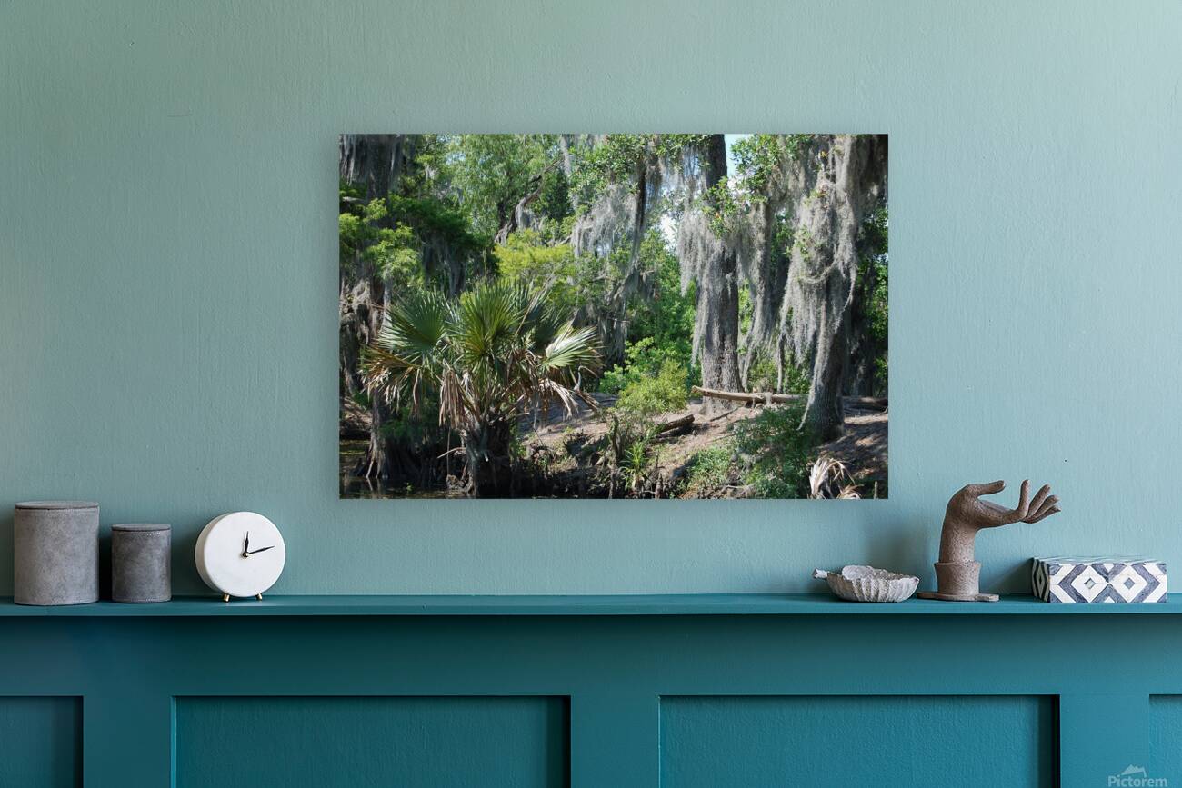 Bayou Reproduction