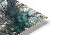 forest prison HD Metal print