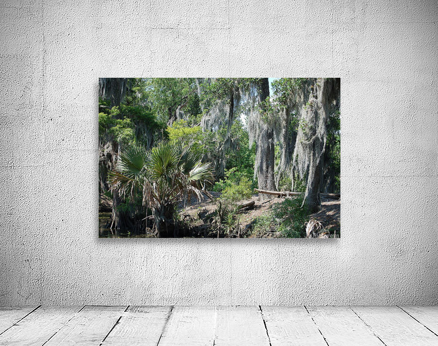 Bayou Wall Preview