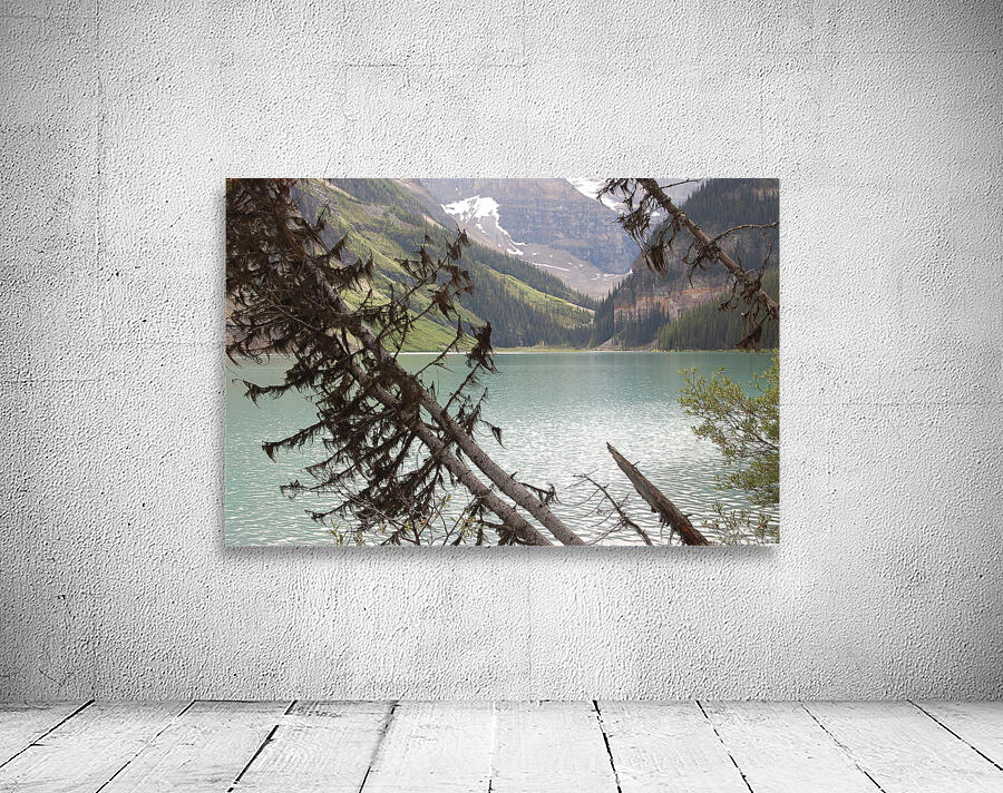 Alberta Wall Preview