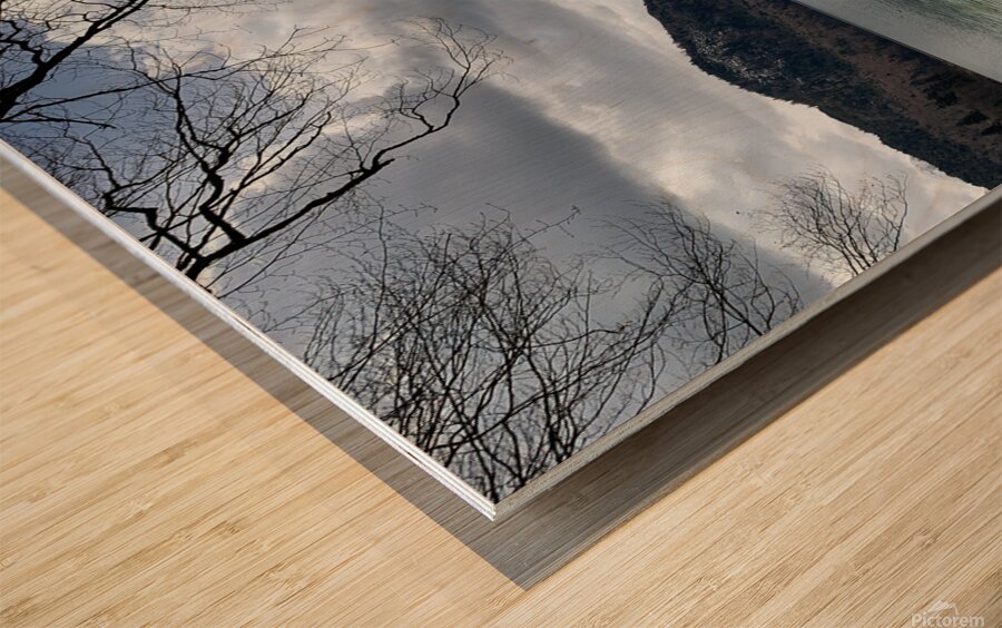 2023 04 15 13 59 44 069 Wood print