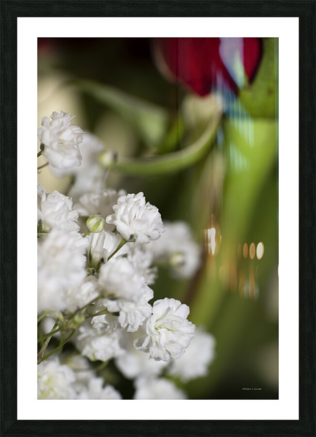 rose Picture Frame print