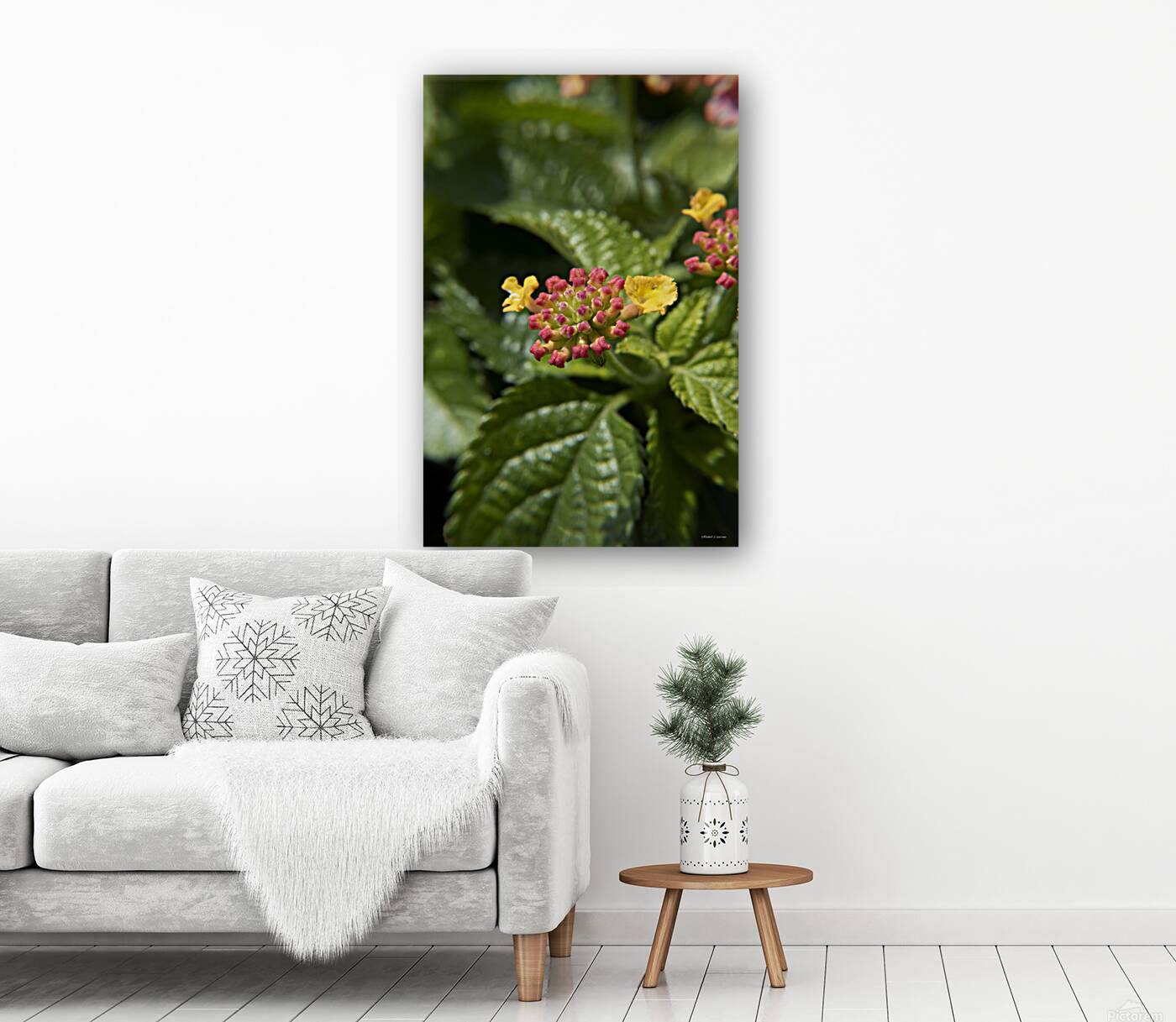 Lantana9EFS Reproduction