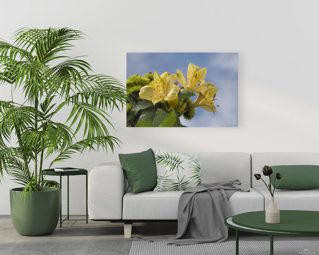 Peruvian Lily Reproduction