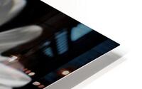 Daisyblk3 HD Metal print