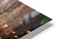 BerryCorn HD Metal print