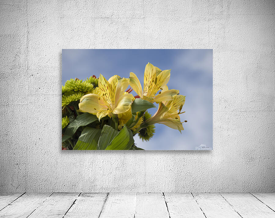 Peruvian Lily Wall Preview