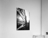TDP03317 Acrylic Print