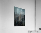 TDP03925 Acrylic Print