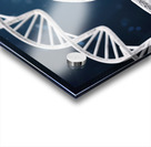 DNA double helix Acrylic print