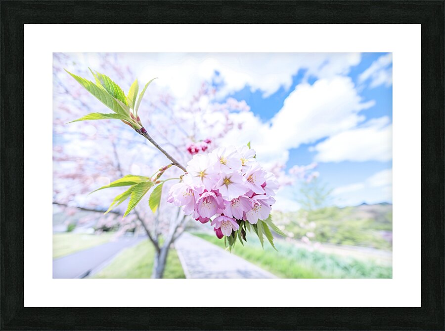spring tree Picture Frame print