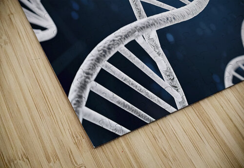 DNA double helix Lucian Dragan puzzle