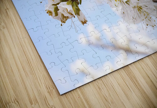 spring tree 2 Lucian Dragan puzzle