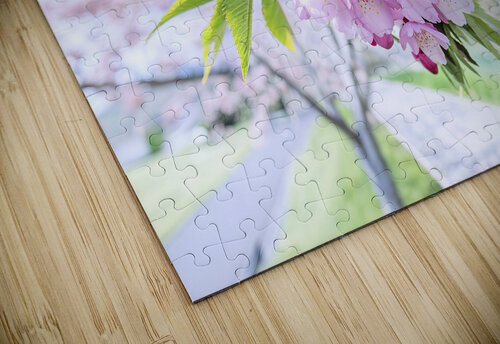 spring tree Lucian Dragan puzzle
