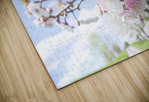 spring tree 3 Lucian Dragan puzzle