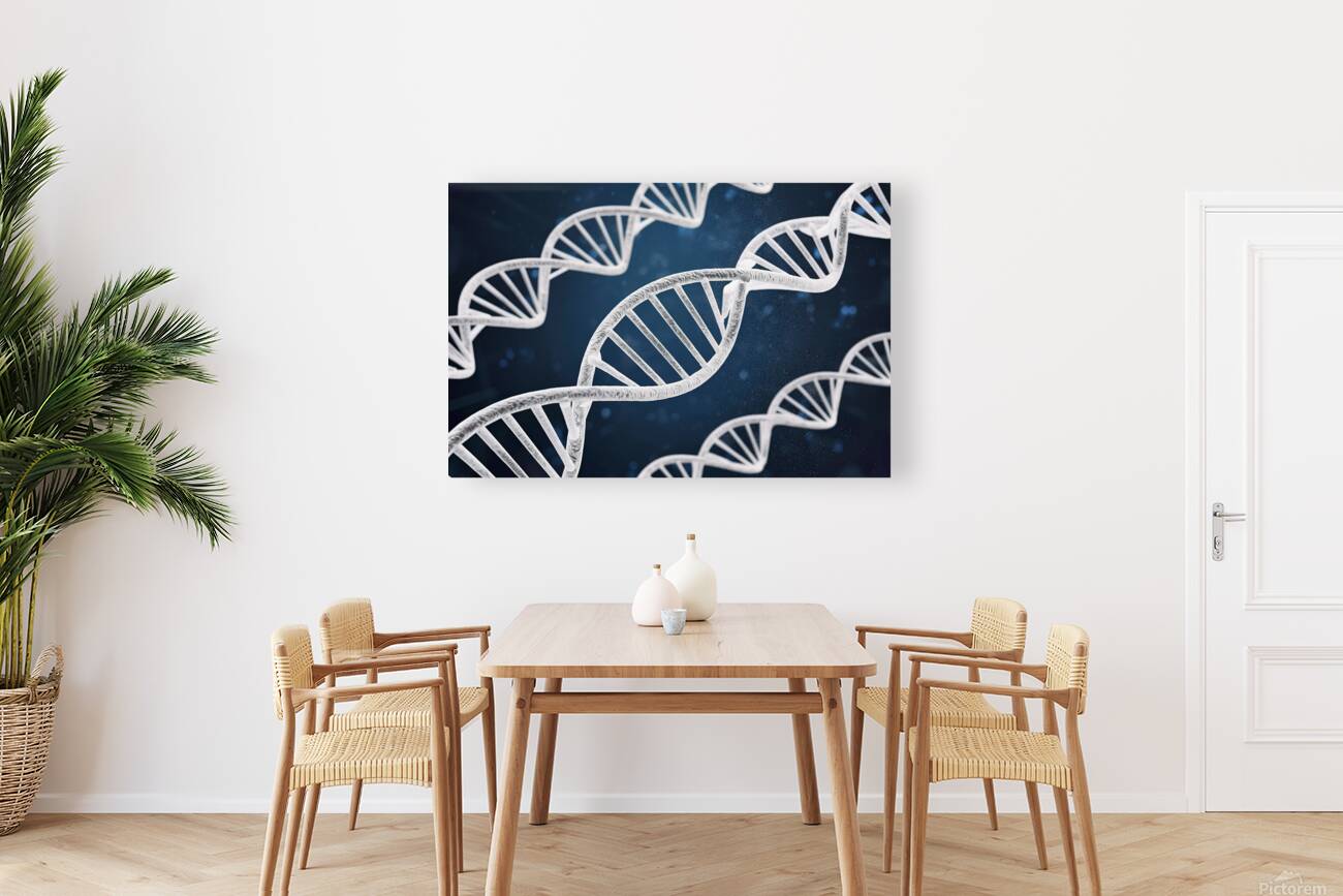 DNA double helix Reproduction