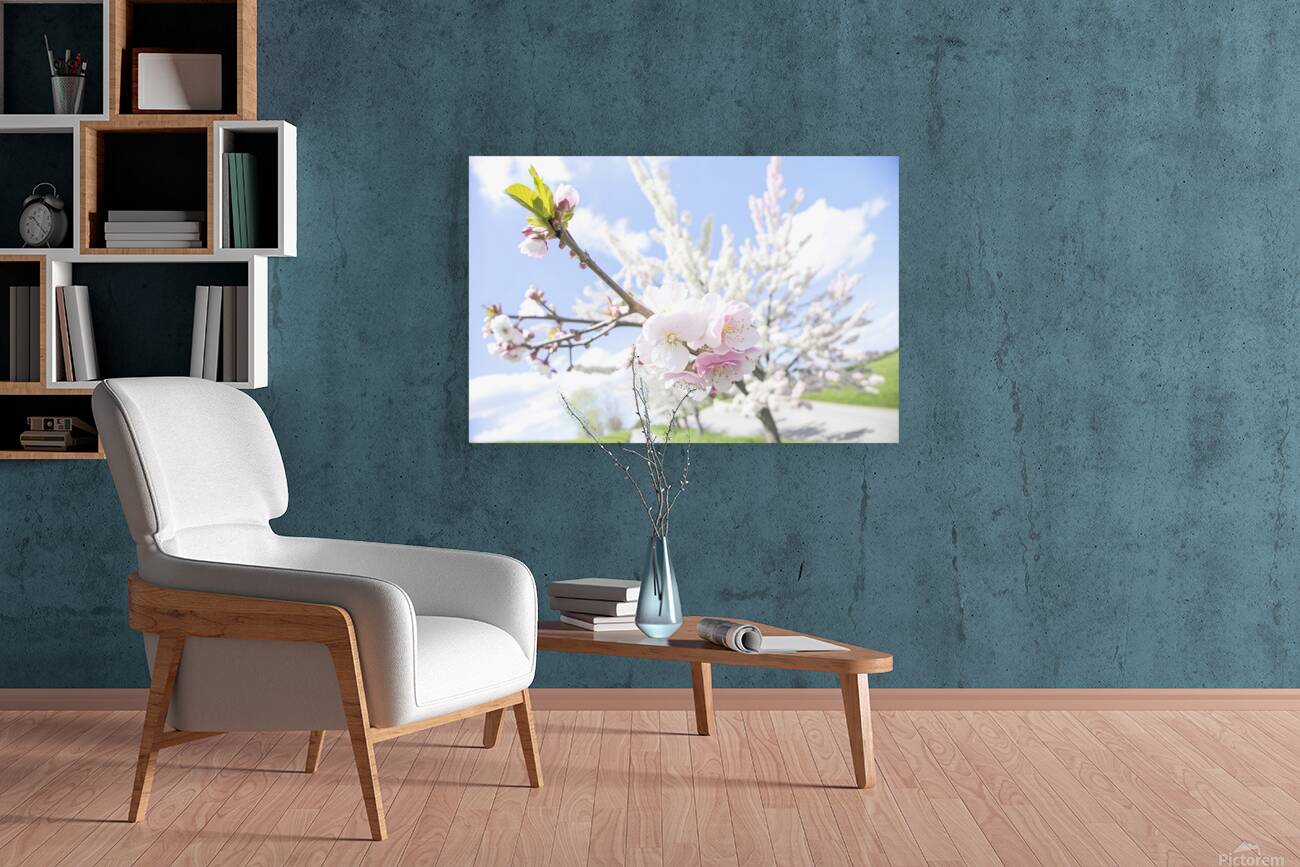 spring tree 3 Reproduction