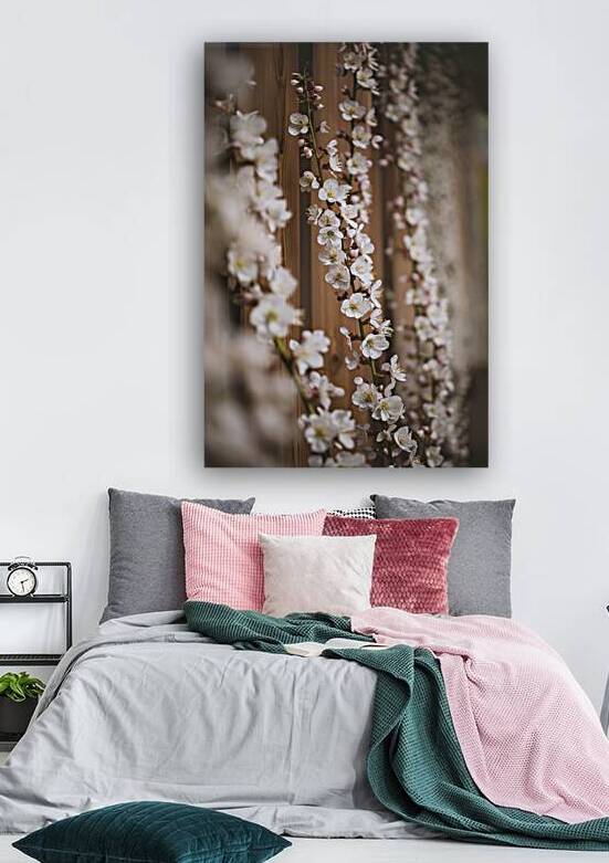Blossoms of linden tree on wooden background 3.jp by Lucian Dragan