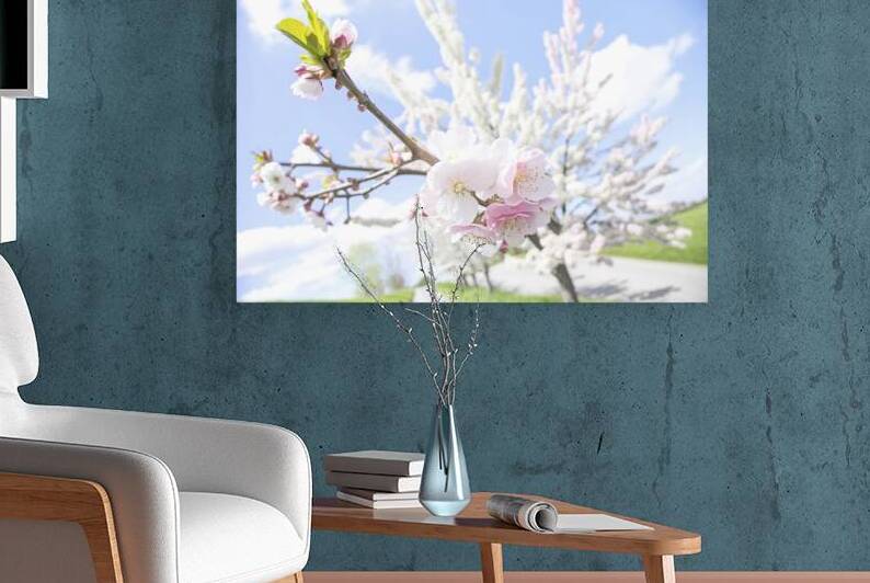 spring tree 3 Reproduction