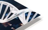 DNA double helix HD Metal print