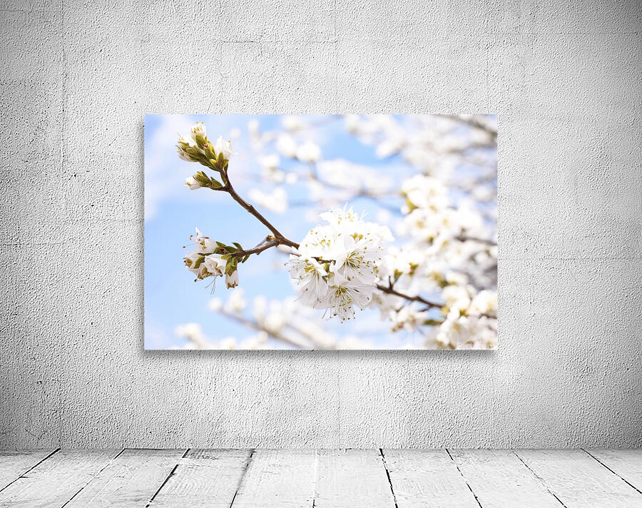 spring tree 2 Wall Preview