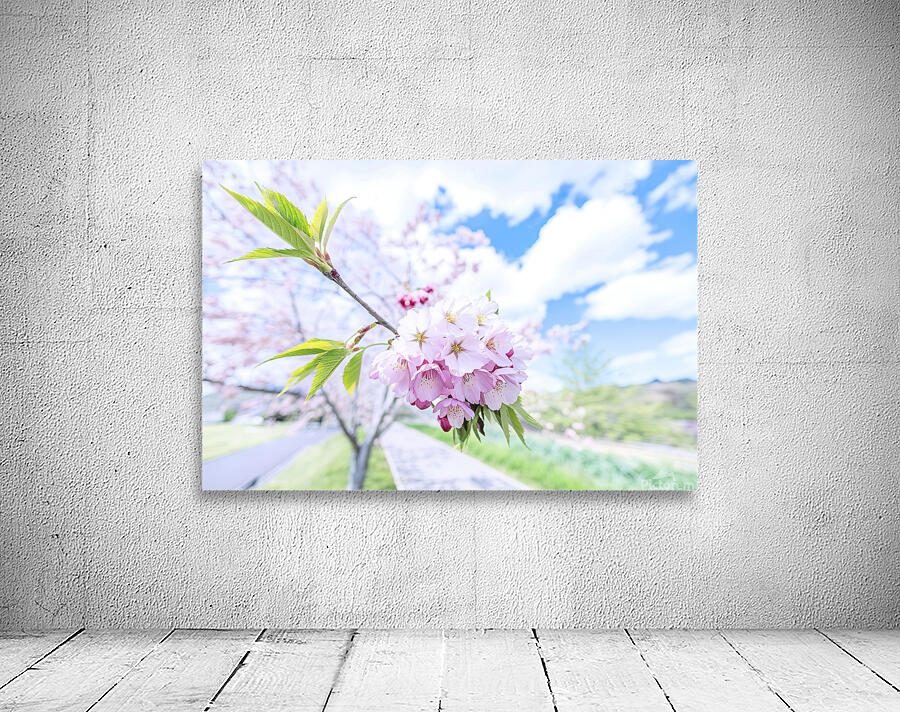 spring tree Wall Preview