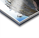 TRUST YOURSELF  Acrylic print