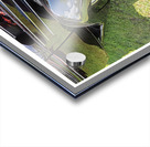 AUTO PORTRAIT 113 Acrylic print