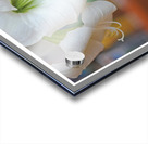 LE GENIE DE LA SIMPLICITE Acrylic print