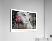 CORDON ROUGE Acrylic Print