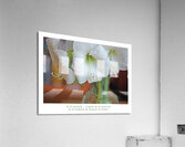 LE GENIE DE LA SIMPLICITE Acrylic Print